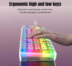 61-Key Fully Transparent Wired Gaming Keyboard with RGB Backlight - Ultra-Compact 60% Mini Keyboard